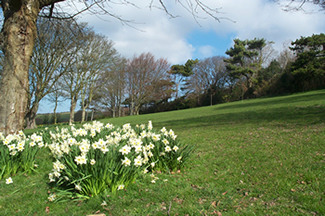 connaught park field